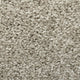 Star Light Noble Saxony Collection Carpet