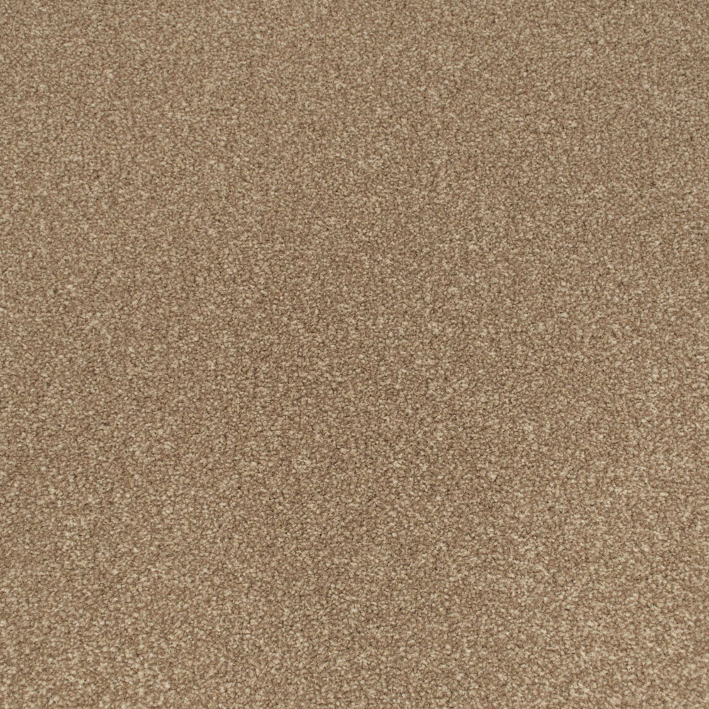 Stepping Stone Apollo Plus Carpet | Buy Apollo Plus Carpets Online ...