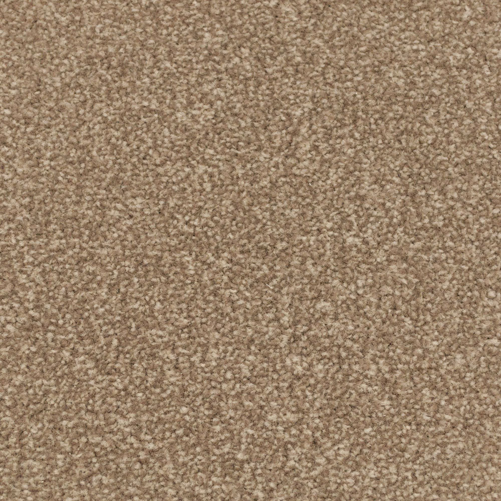 Stepping Stone Apollo Plus Carpet | Buy Apollo Plus Carpets Online ...