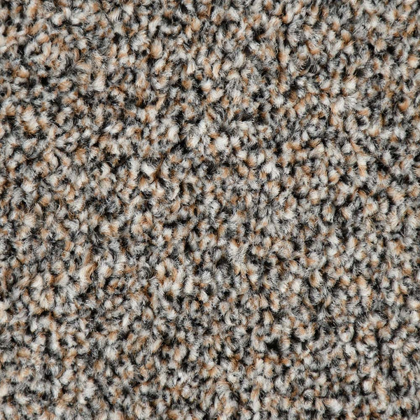 Stone 48 StainGuard Harvest Heathers Supreme Carpet Buy Associated