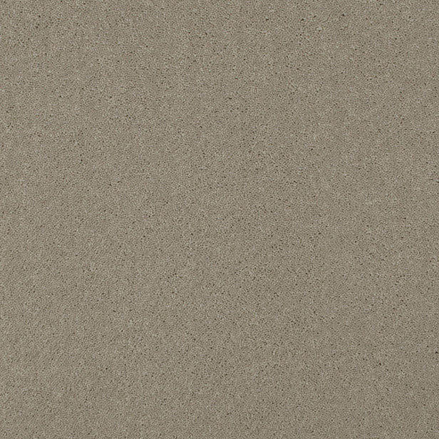 Stone 72 Ultimate Twist Intenza Carpet