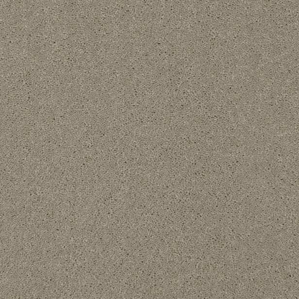 Stone 72 Ultimate Twist Intenza Carpet