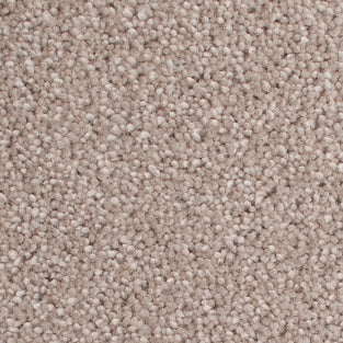 Stucco 50oz Home Counties Carpet