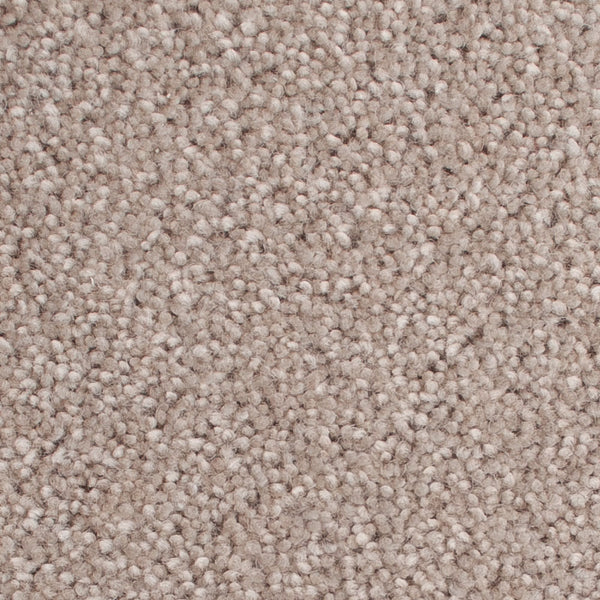 Stucco 50oz Home Counties Carpet