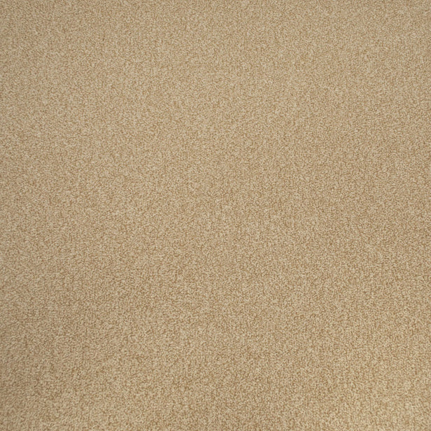 Summer Sand Apollo Plus Carpet Clearance by Cormar