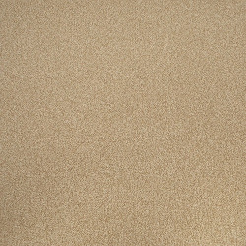 Summer Sand Apollo Plus Carpet Clearance