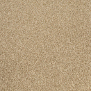 Summer Sand Apollo Plus Carpet Clearance