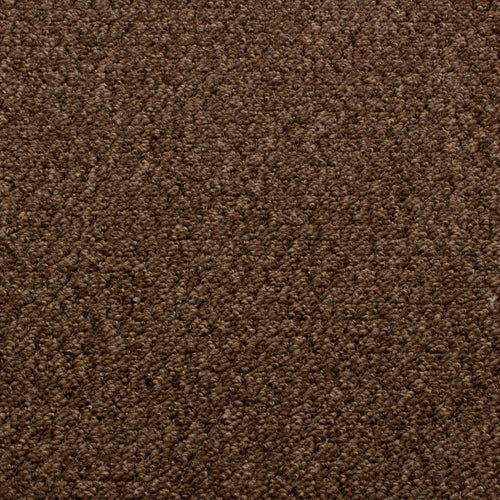 Chestnut Sweet Home Action Backed Carpet