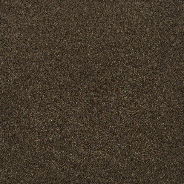 Tamarind Apollo Plus Carpet by Cormar