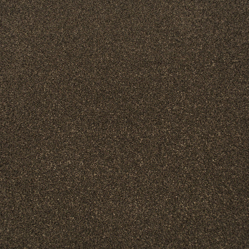 Tamarind Apollo Plus Carpet