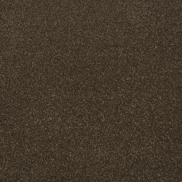 Tamarind Apollo Plus Carpet