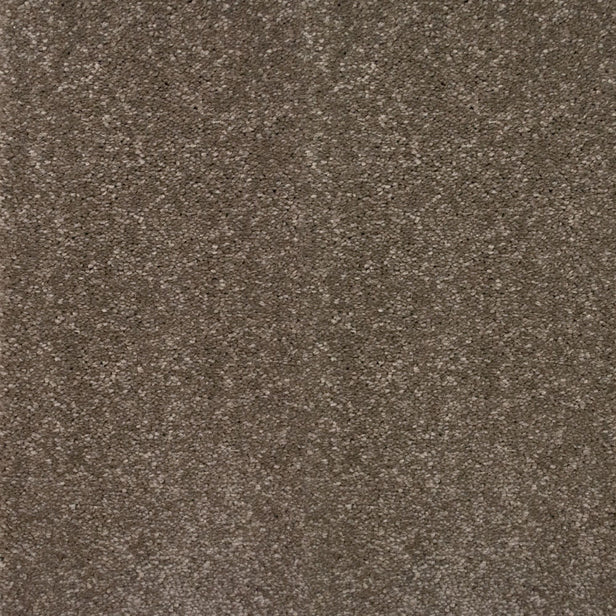 Taupe Grey 870 Timeless & Stripes Carpet