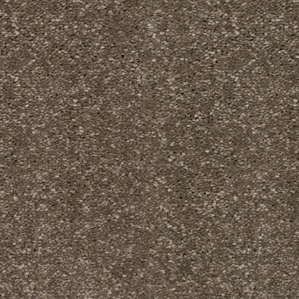 Taupe Grey 870 Timeless & Stripes Carpet