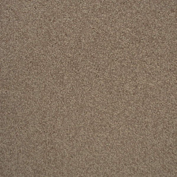 Urban Legend Saxony Action Back Carpet Buy Budget Saxony Pile Carpet