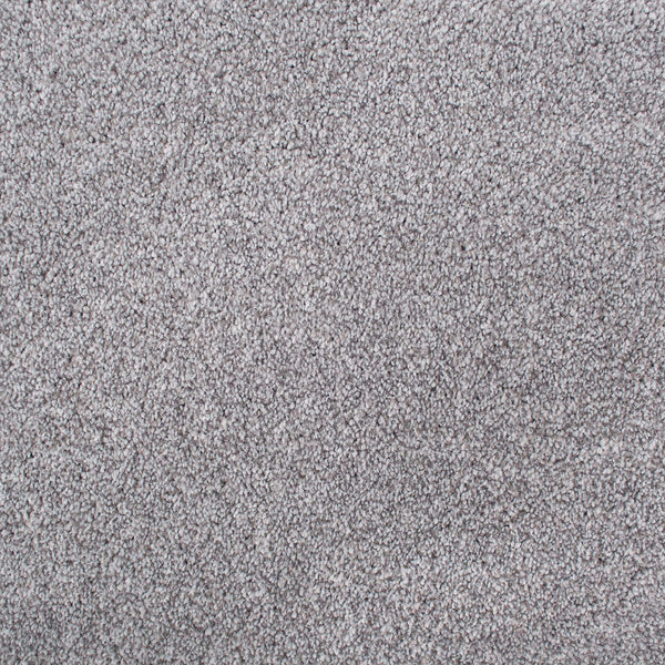 Grey Orchid 09