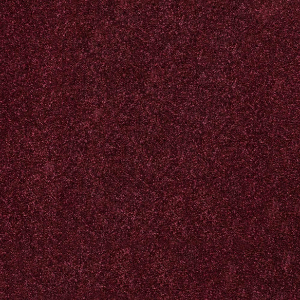 Mulberry 11 Temptation Carpet