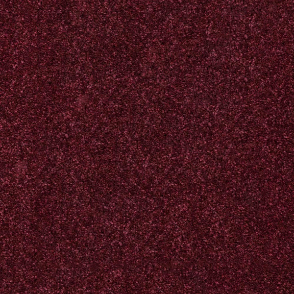 Mulberry 11 Temptation Carpet