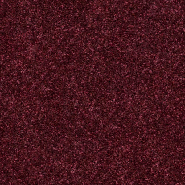 Mulberry 11 Temptation Carpet