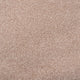 Soft Maplewood 31 Temptation Carpet