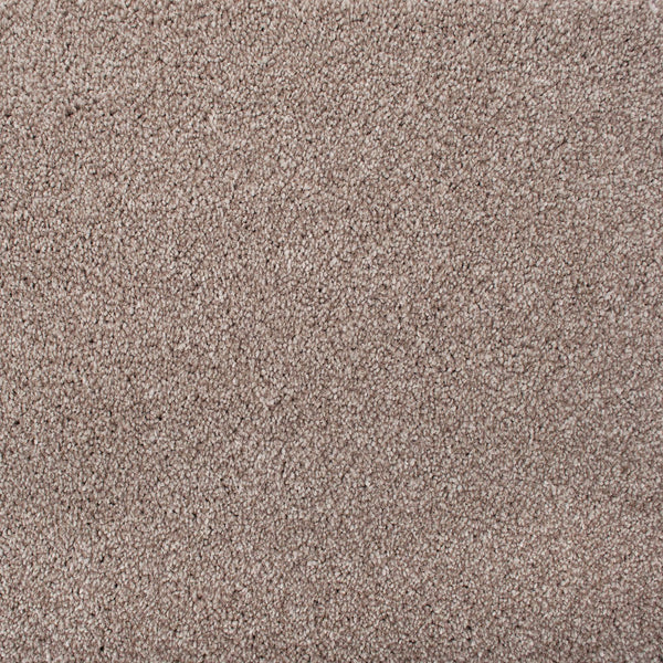 Dove Grey 48 Temptation Carpet