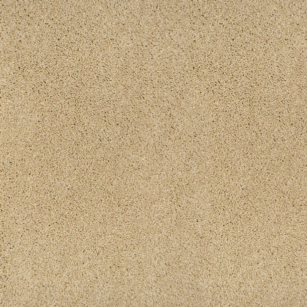 Temple 33 Pegasus 70oz Heathers Invictus Carpet