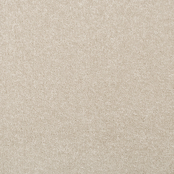 Tempting Taupe Apollo Plus Carpet