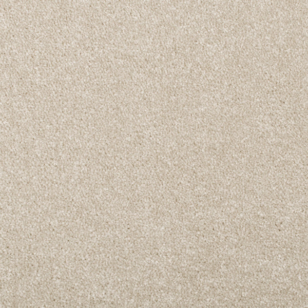 Tempting Taupe Apollo Plus Carpet