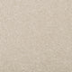 Tempting Taupe Apollo Plus Carpet - mid