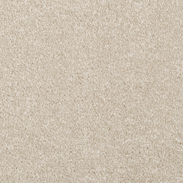 Tempting Taupe Apollo Plus Carpet