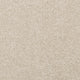 Tempting Taupe Apollo Plus Carpet - close