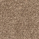 Timberwolf 93 Inspire Saxony Carpet