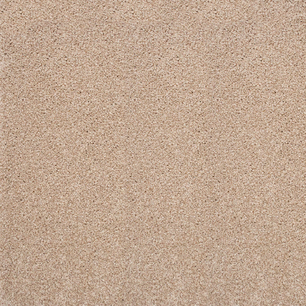 Tiramisu 30