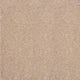 Tiramisu 30 Stainaway Ultra Carpet