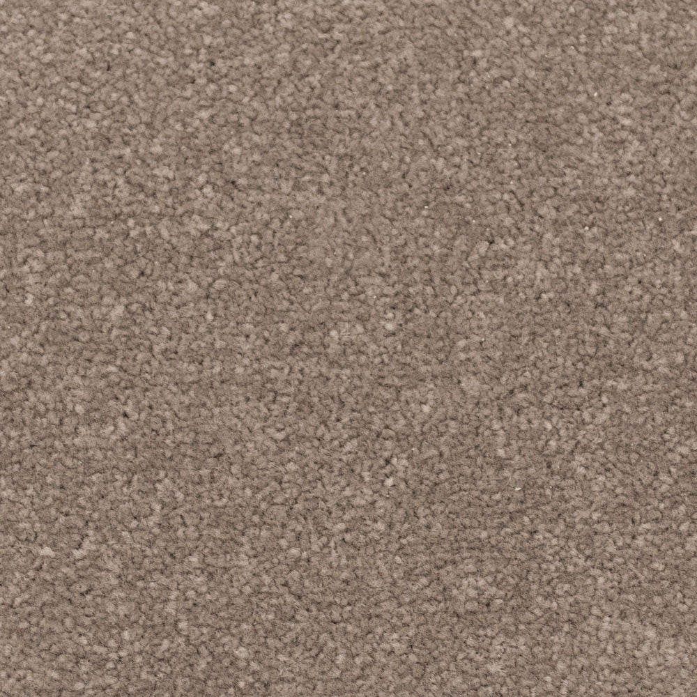 Toasted Almond Apollo Plus Carpet | Buy Apollo Plus Carpets Online ...