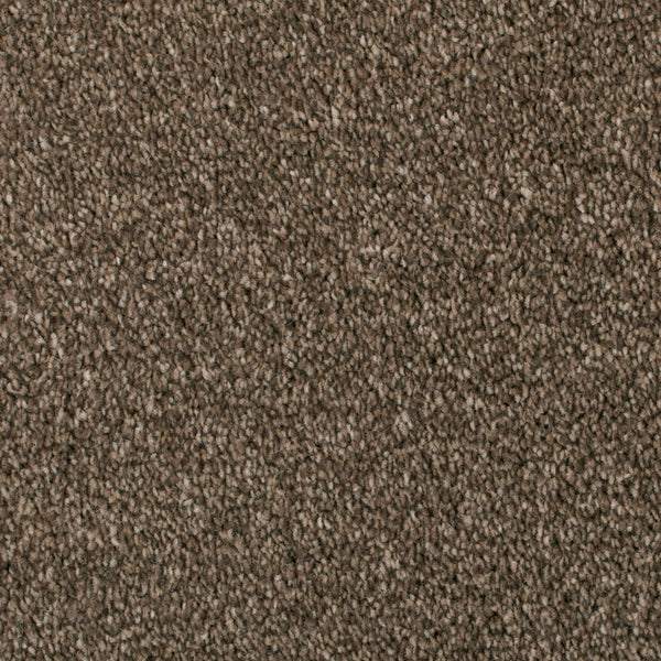 Toffee 91 Calais Carpet