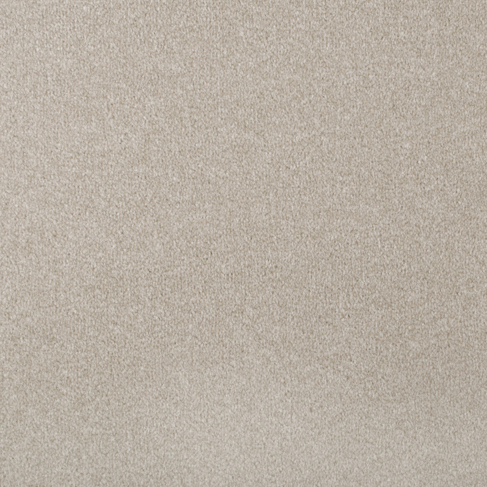 Tortilla Apollo Plus Carpet | Buy Apollo Plus Carpets Online ...