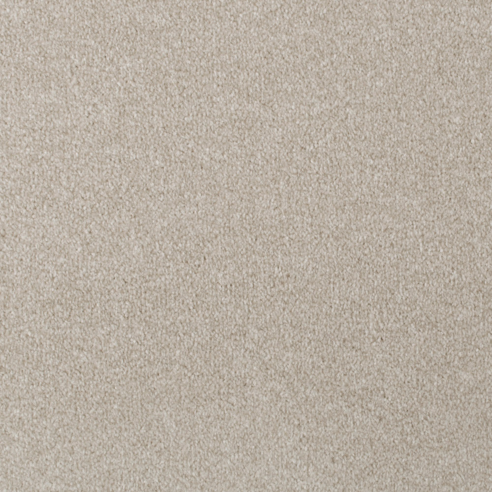 Tortilla Apollo Plus Carpet | Buy Apollo Plus Carpets Online ...