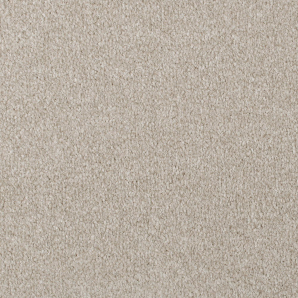 Tortilla Apollo Plus Carpet | Buy Apollo Plus Carpets Online ...