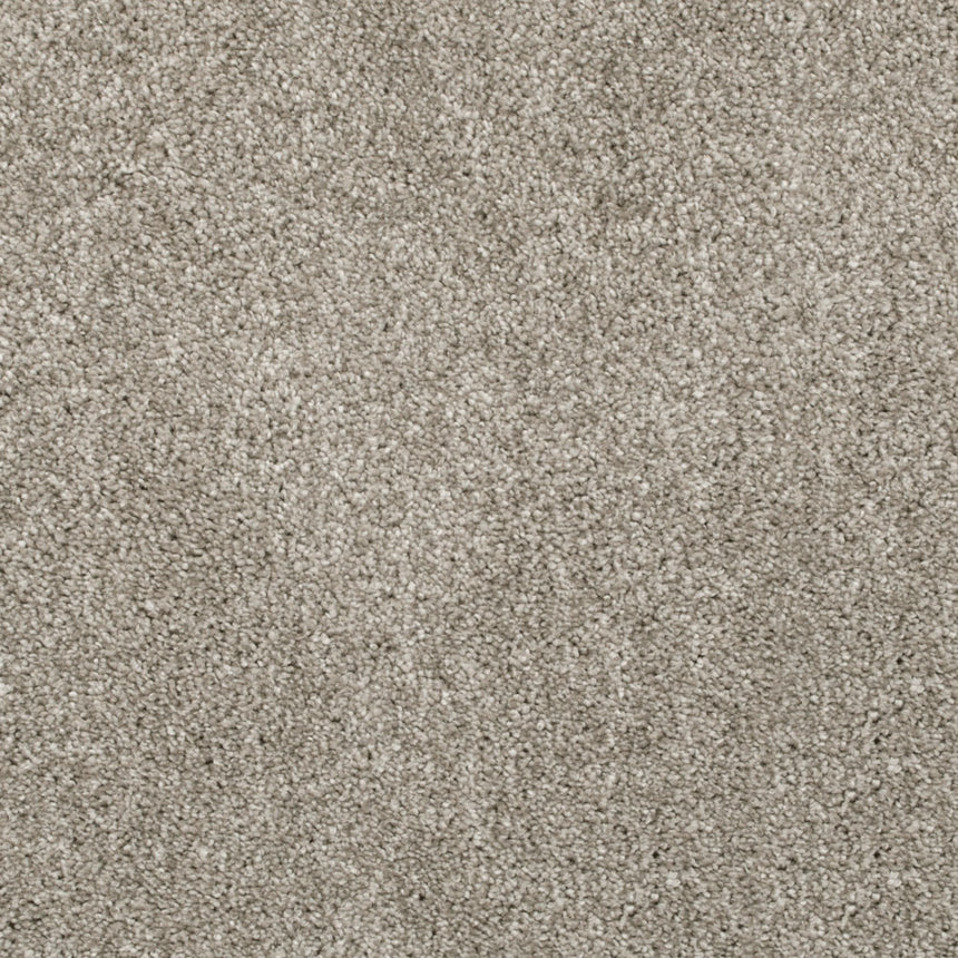 Truffle 04 Lasting Romance Love Story Carpet 5.5m x 5m Remnant