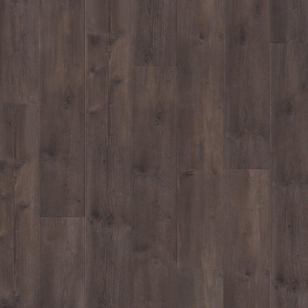 Truffle Pine 61013
