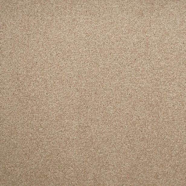 Blonde Oak 30 Tuftex Twist Actionback Carpet