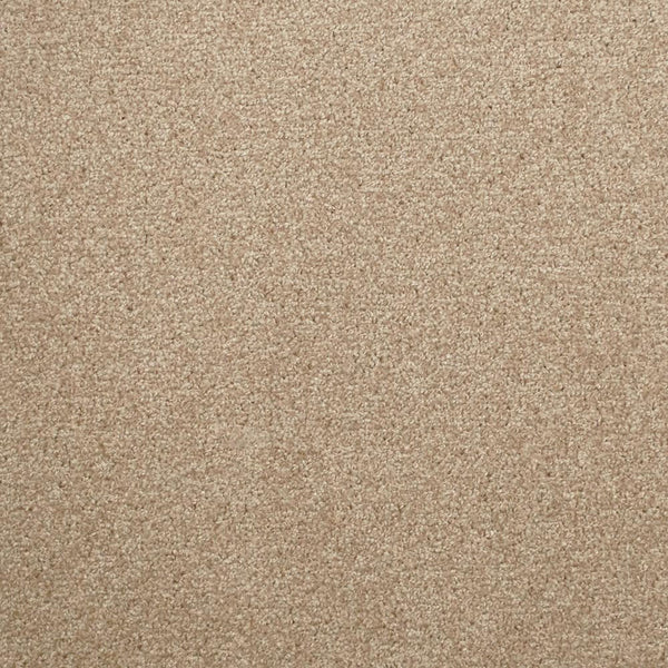 Blonde Oak 30 Tuftex Twist Actionback Carpet