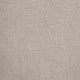 Tuftex Twist Actionback Carpet