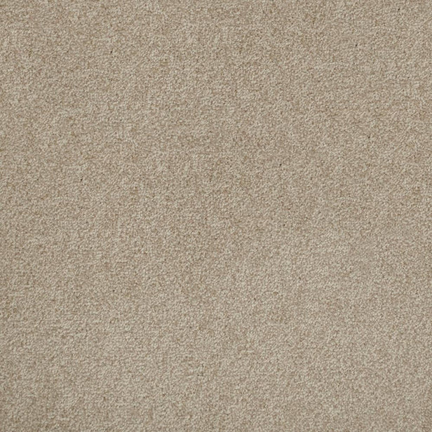 Wicker 36 Tuftex Twist Actionback Carpet