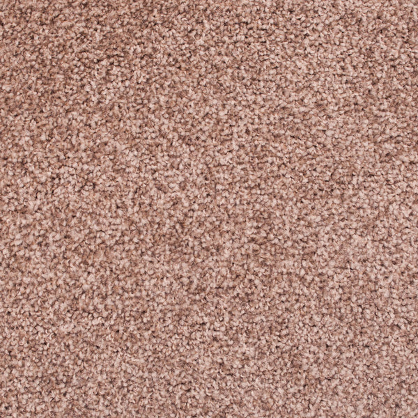 Sable 42 FB