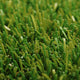 Barbados 36mm Artificial grass