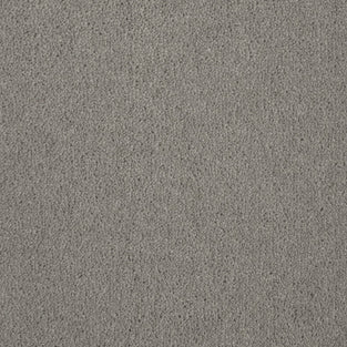 Vintage Grey 50oz Home Counties Carpet