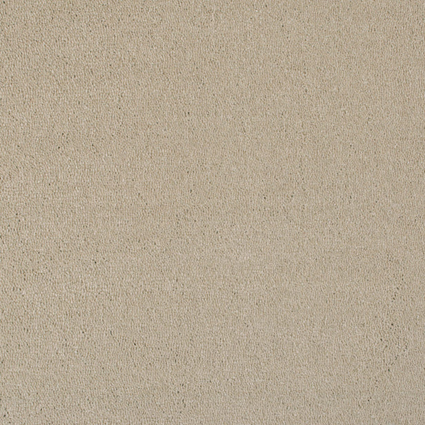 Biscuit 72 Vogue Intenza Carpet