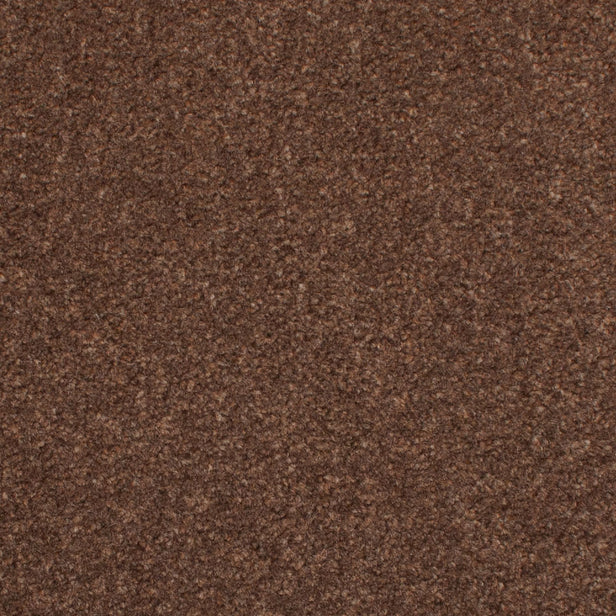Walnut 91 Revolution Carpet