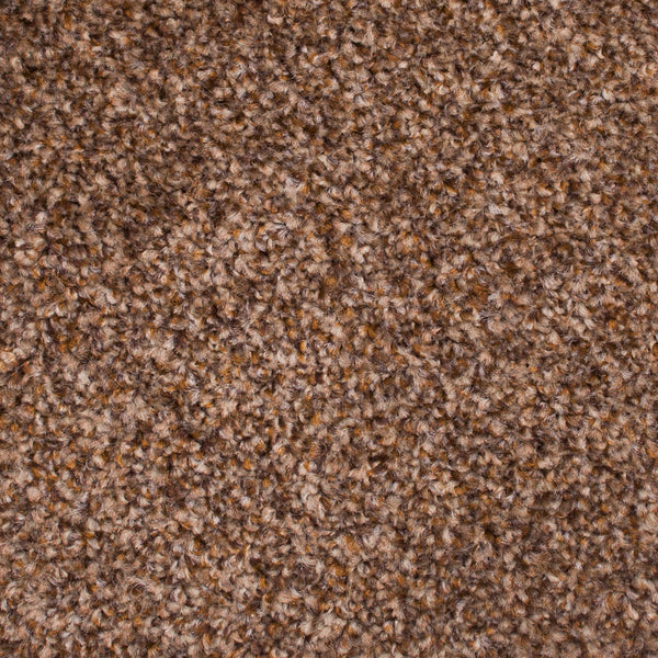 Walnut 40 Stainaway Harvest Heathers Deluxe Carpet